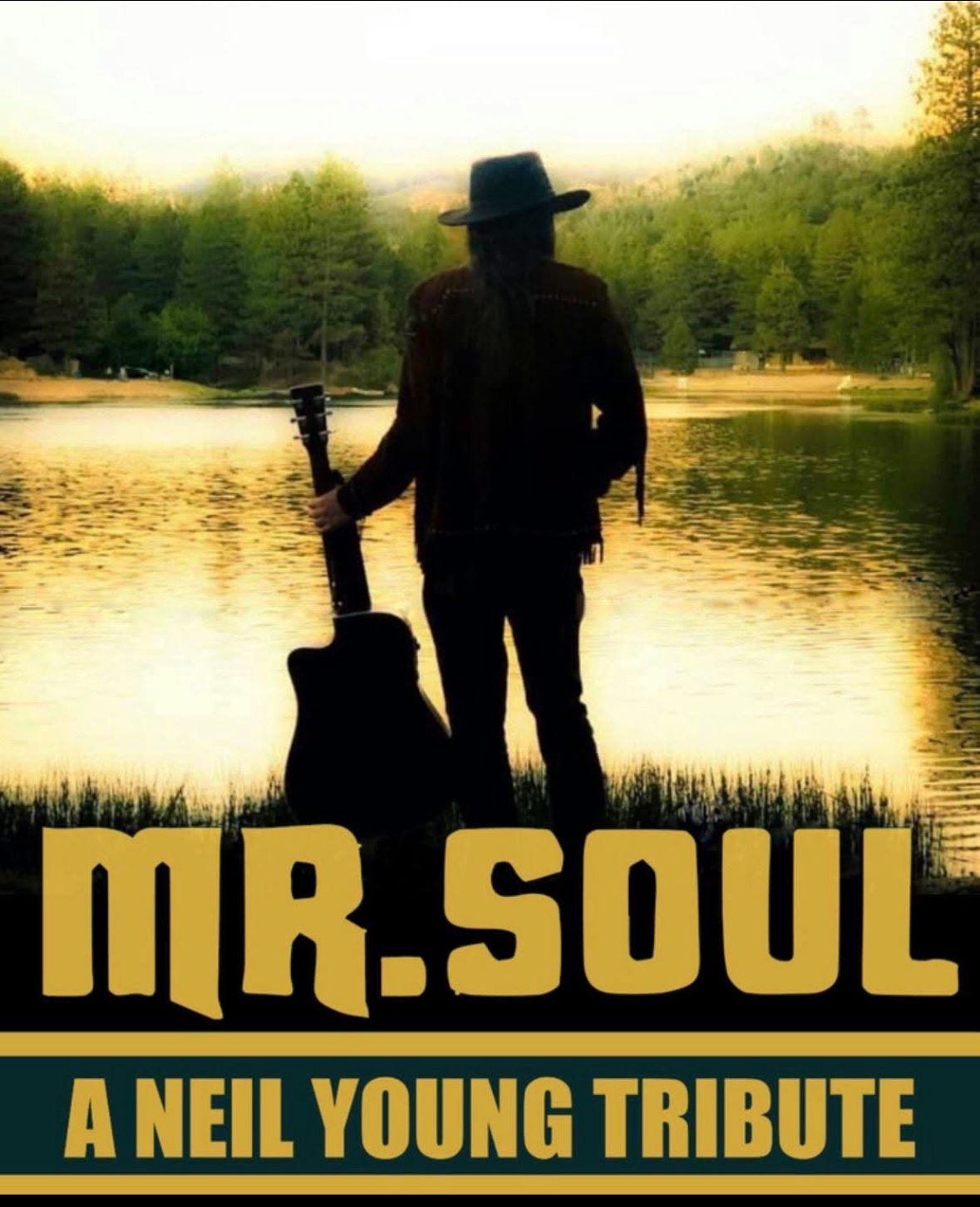 Mr. Soul: Neil Young Tribute